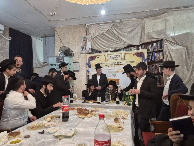 שימי קליין