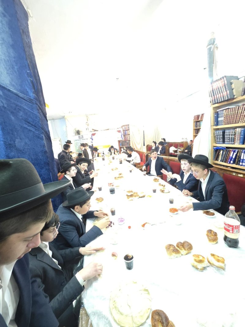 שימי קליין