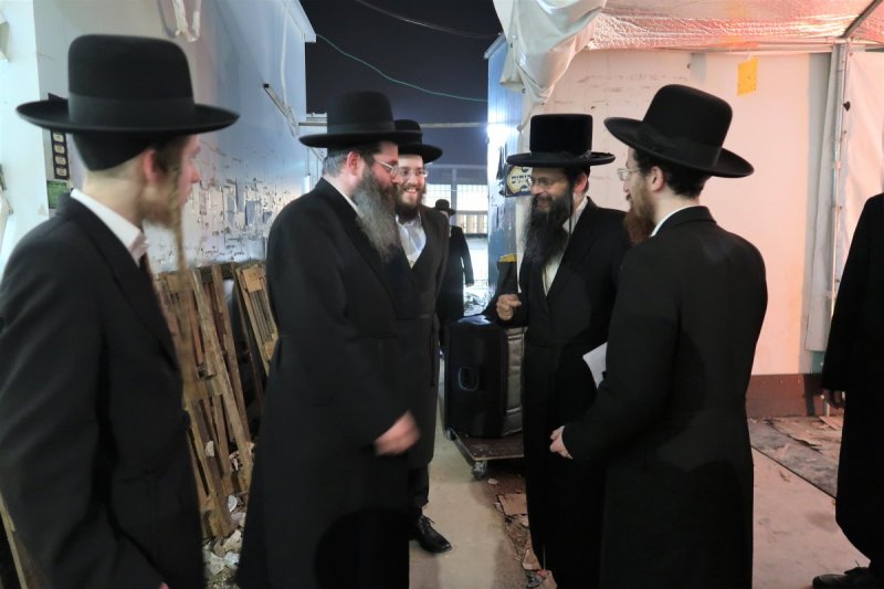 י. פריד