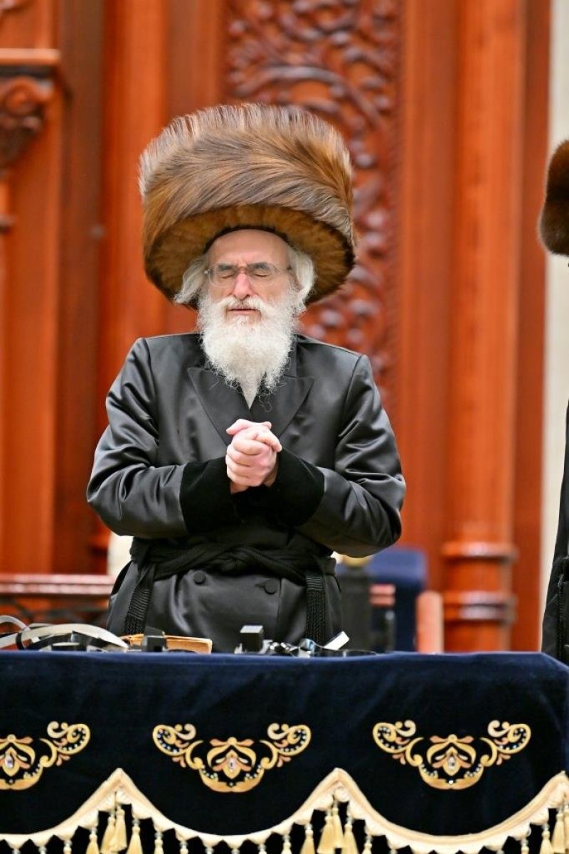 יהושע פרוכטר