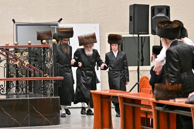 יהושע פרוכטר