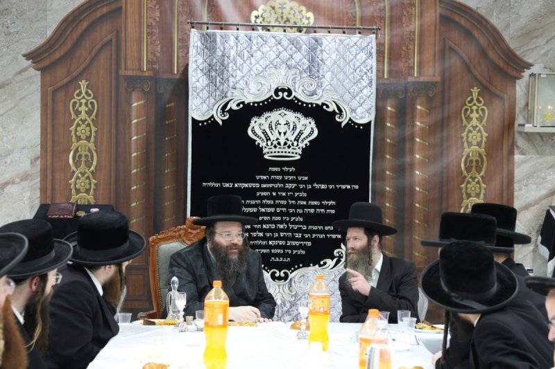 יעקב כהן