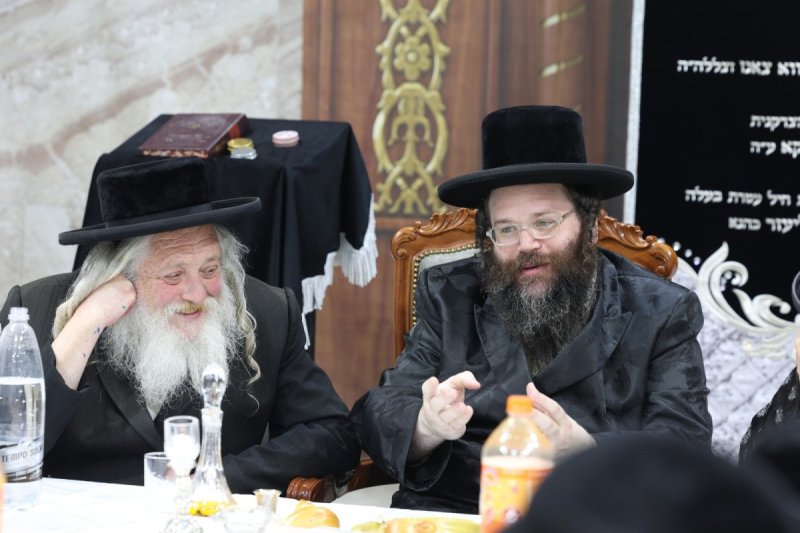יעקב כהן