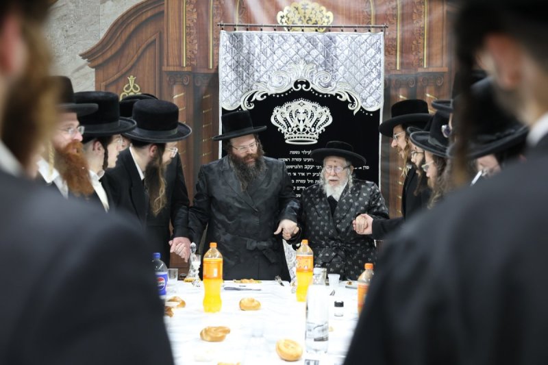 יעקב כהן