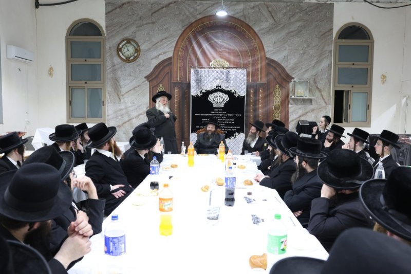 יעקב כהן