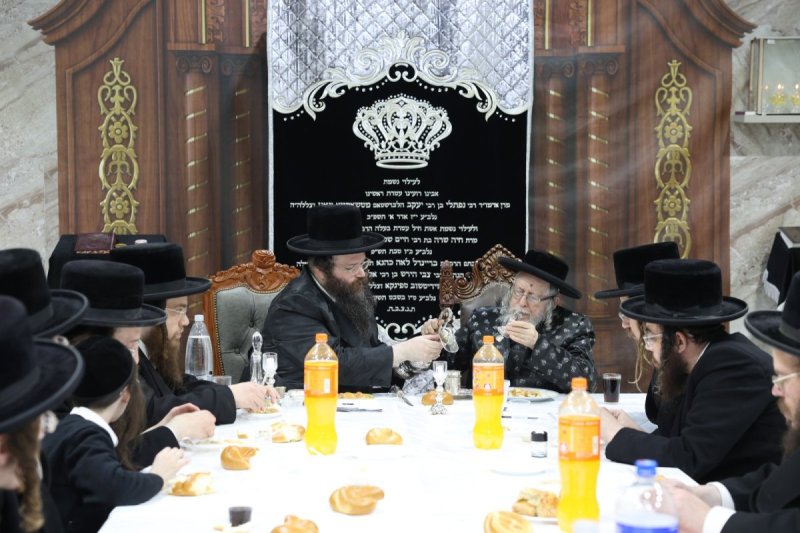 יעקב כהן