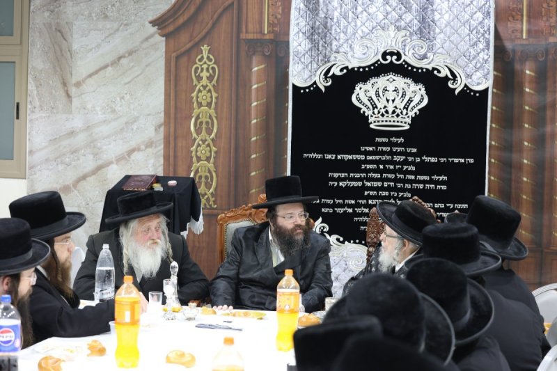יעקב כהן