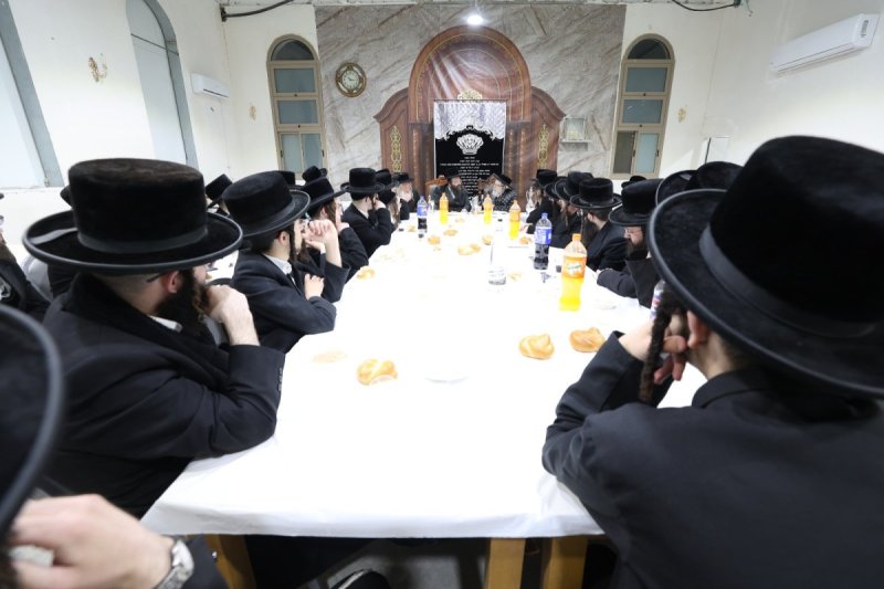 יעקב כהן