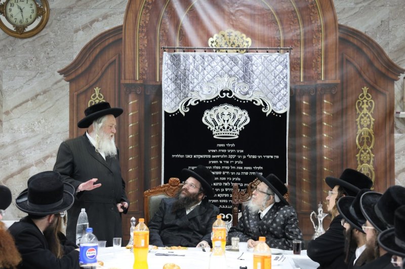 יעקב כהן