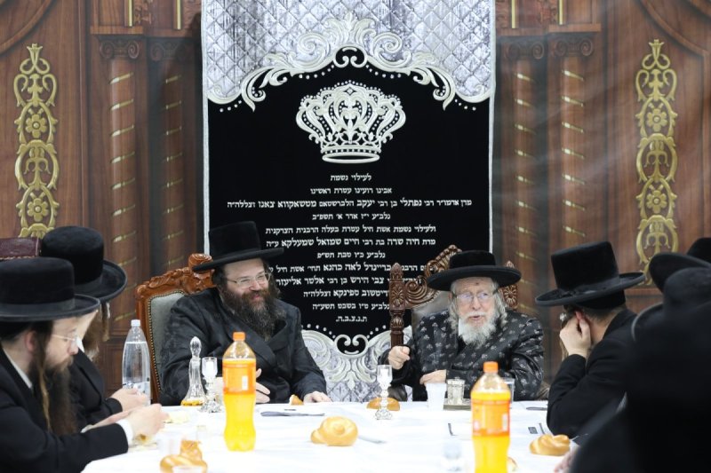 יעקב כהן