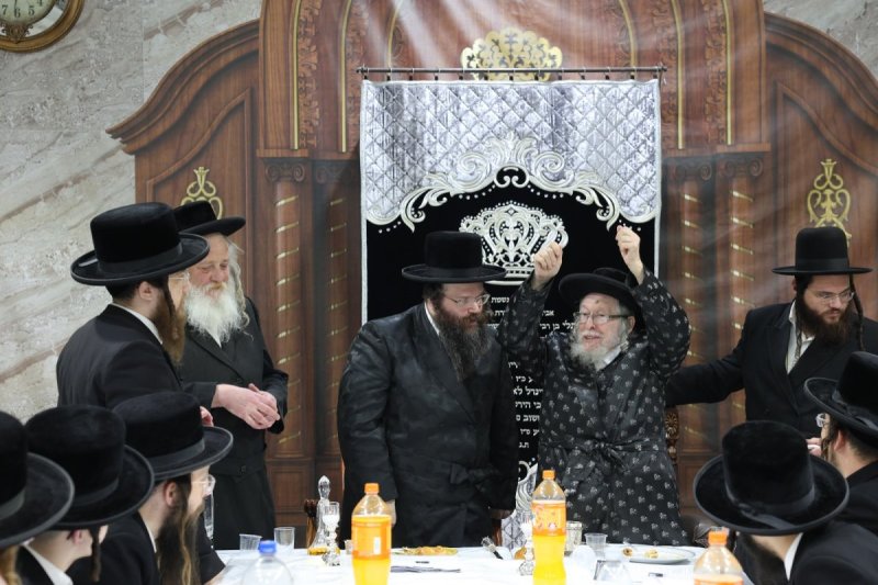 יעקב כהן