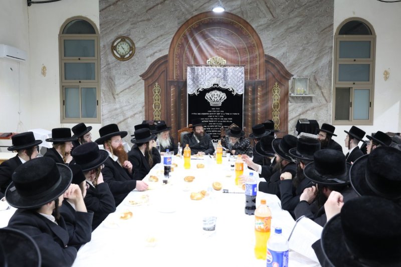 יעקב כהן
