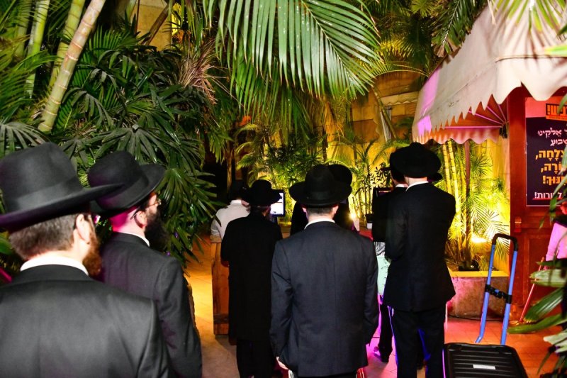 שוקי לרר