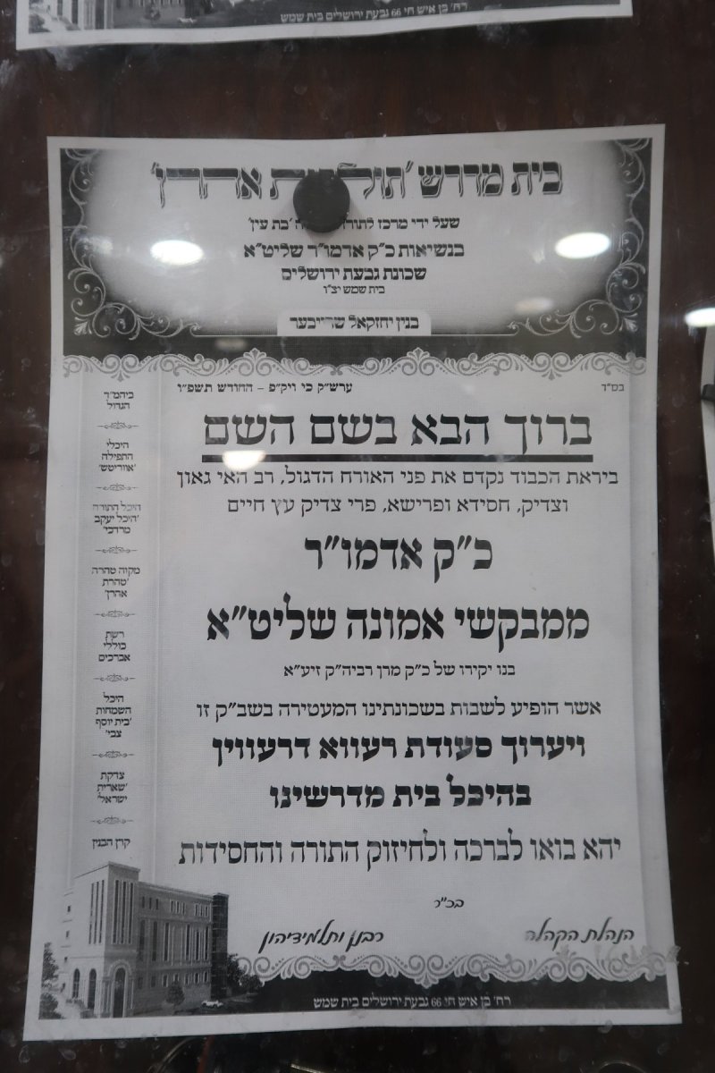 שימי פ.