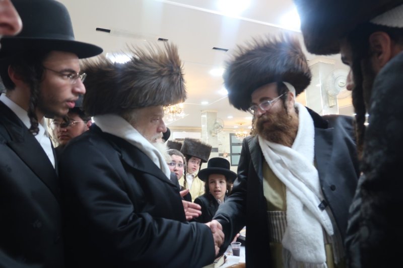 שימי פ.
