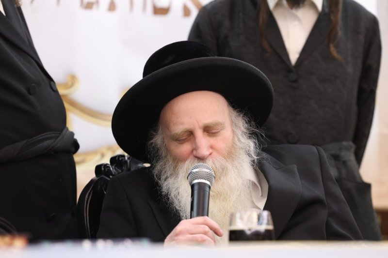 יעקב כהן