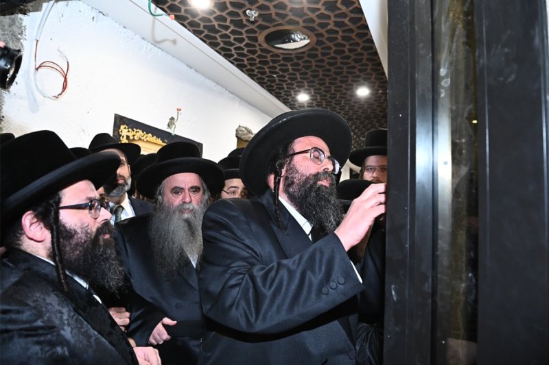 שוקי לרר