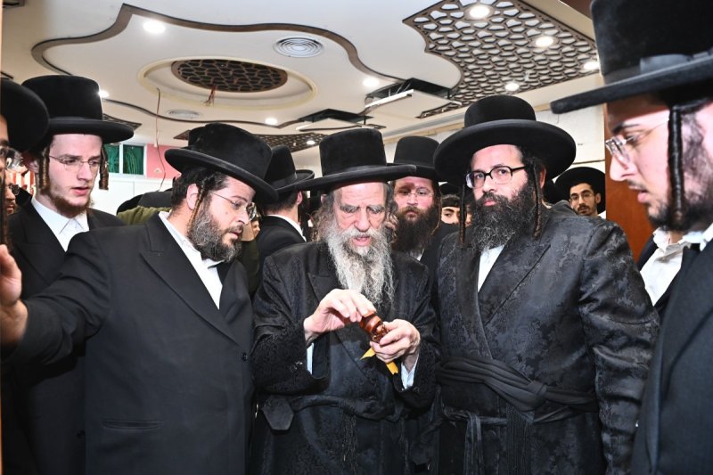שוקי לרר