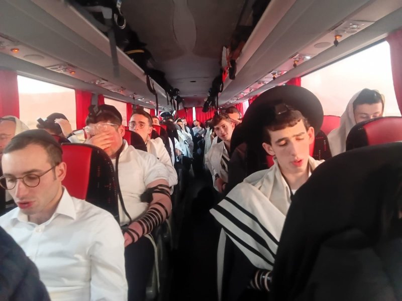 באדיבות המצל