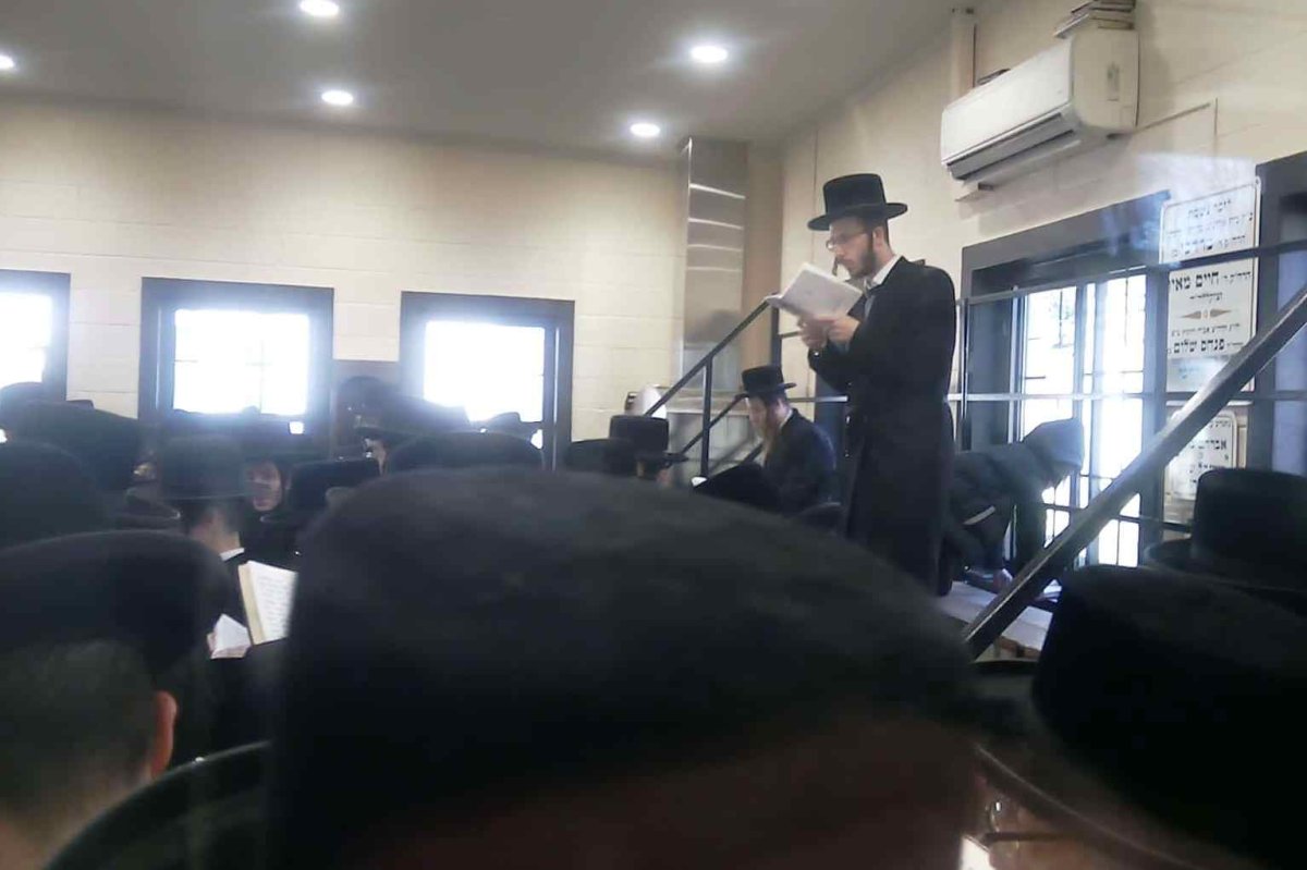 באדיבות המצלם