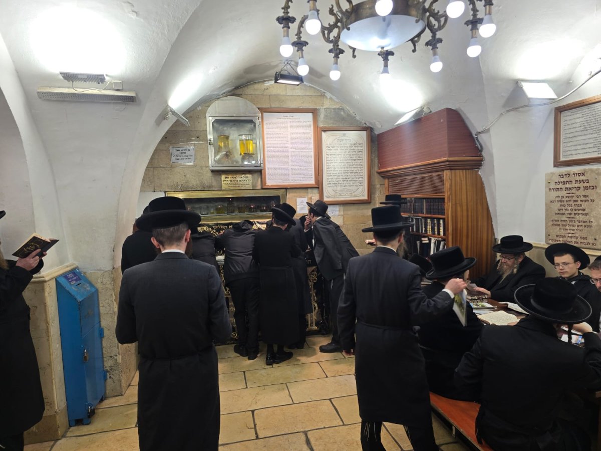 באדיבות המצלם