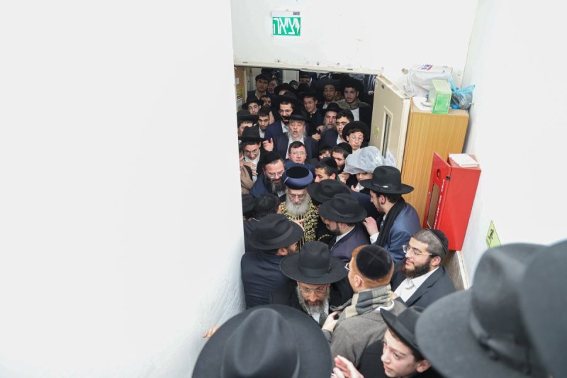 דוד ארזני