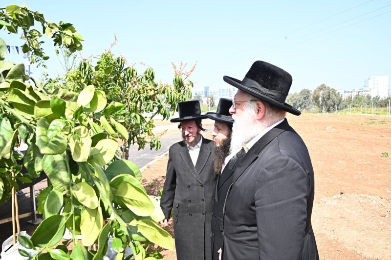 שוקי לרר