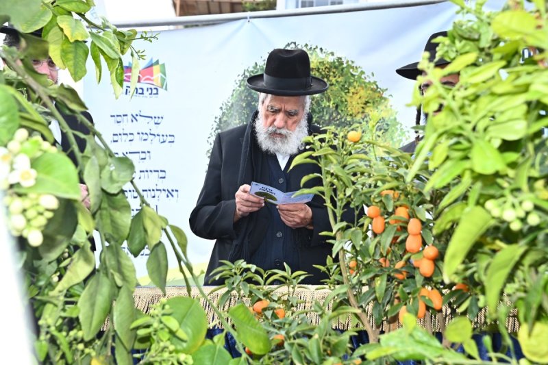 שוקי לרר