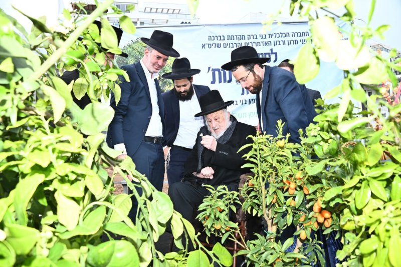 שוקי לרר