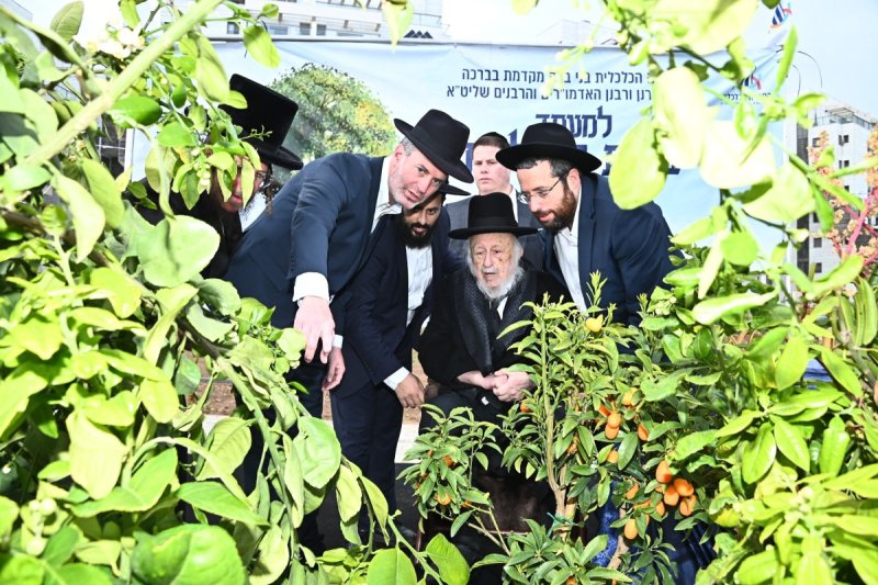 שוקי לרר