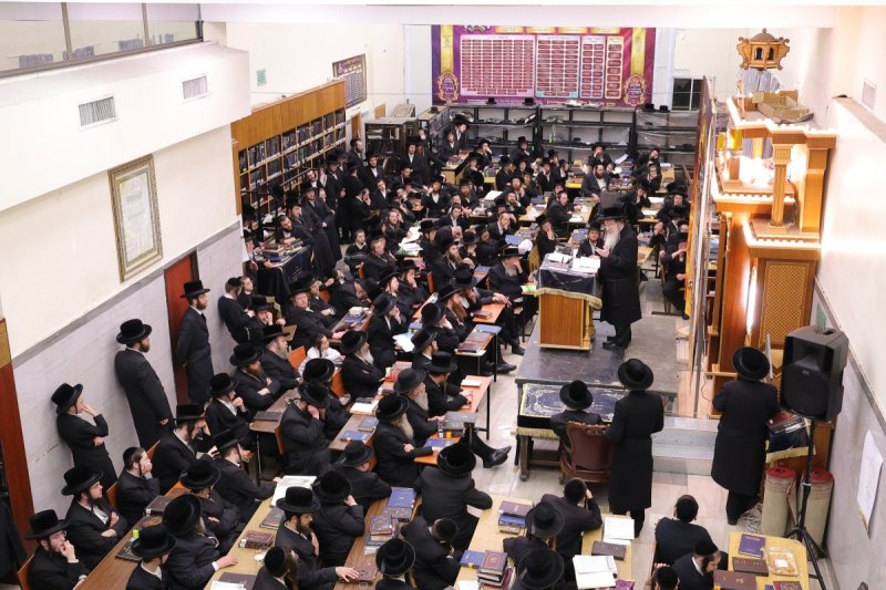 שימי פ.