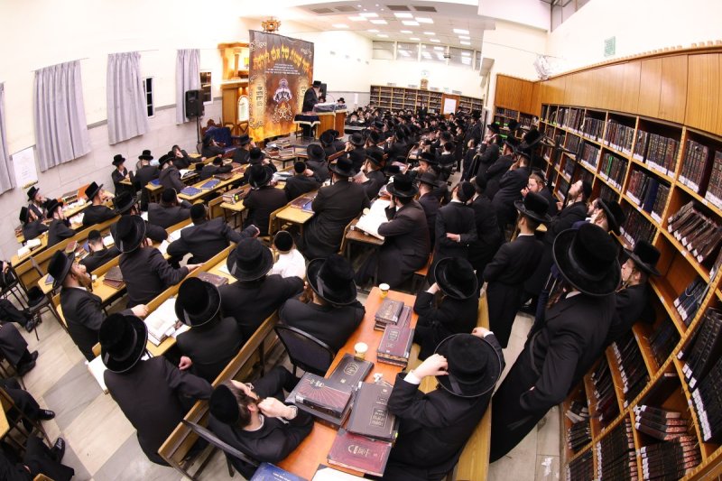 שימי פ.