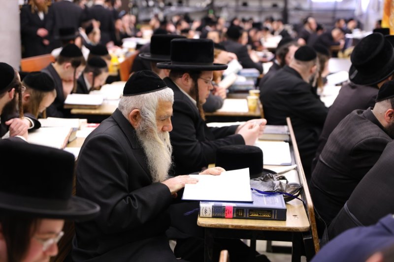 שימי פ.