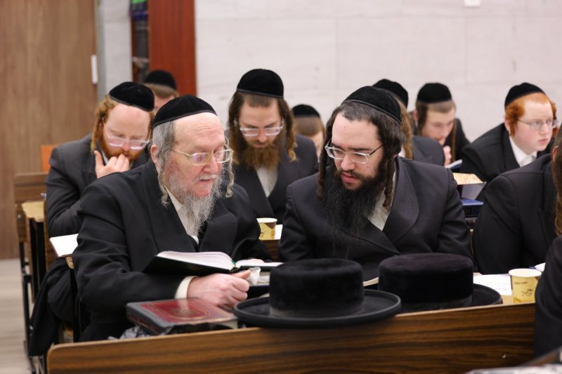 שימי פ.