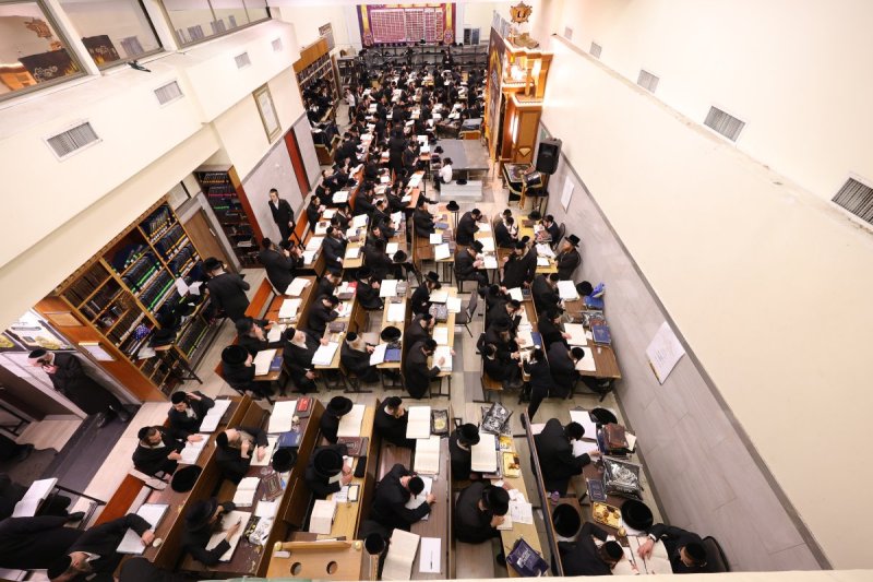 שימי פ.
