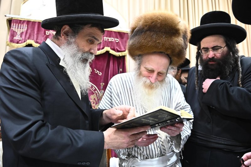 שוקי לרר