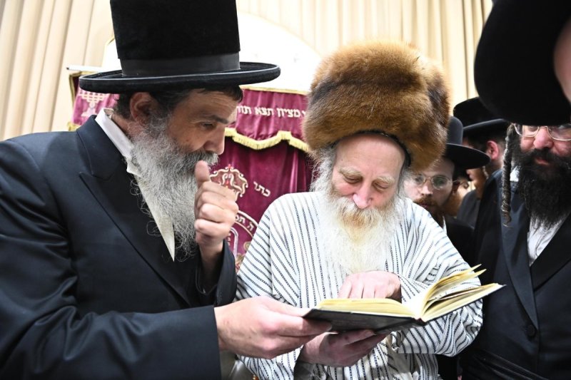 שוקי לרר