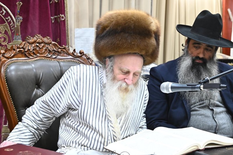 שוקי לרר