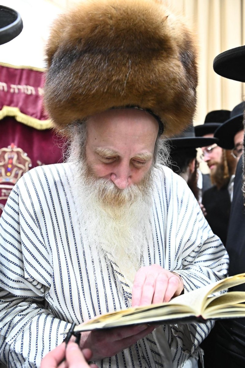 שוקי לרר