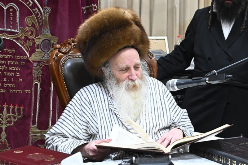 שוקי לרר