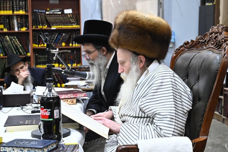 שוקי לרר