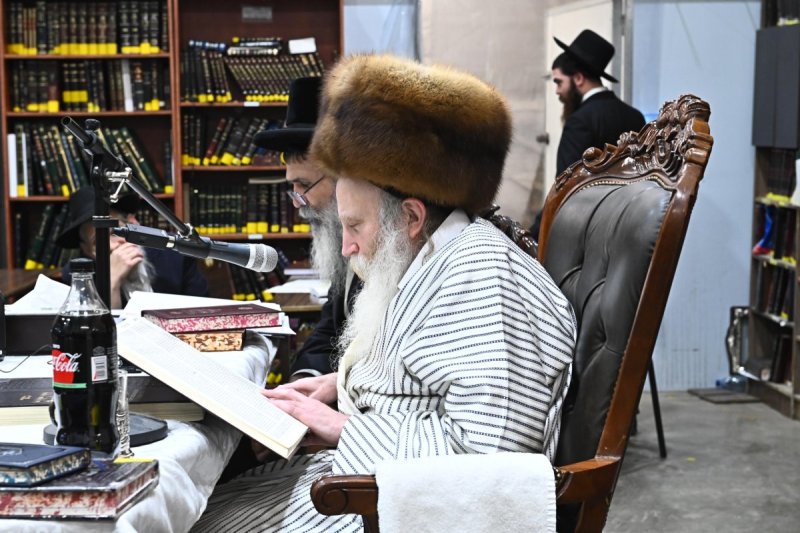 שוקי לרר