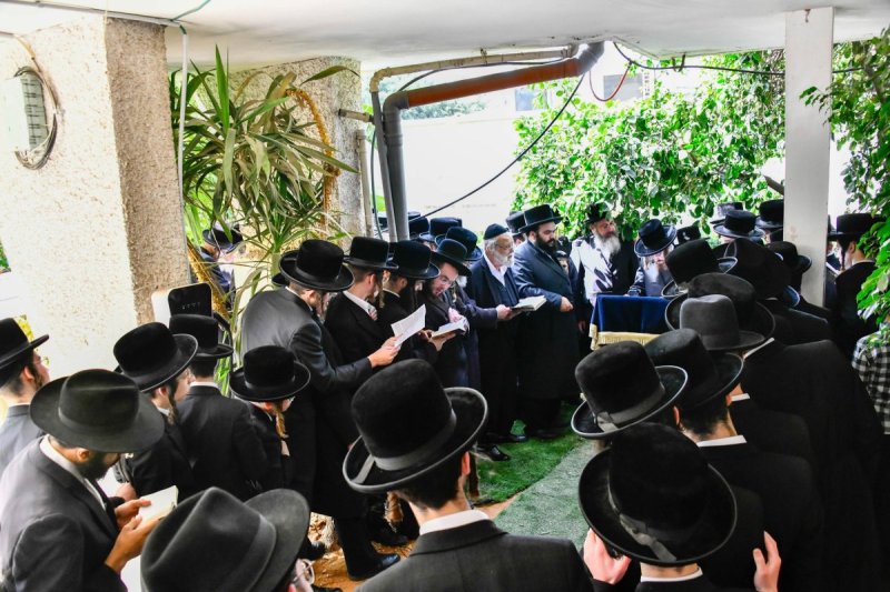 שוקי לרר