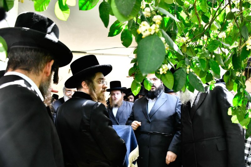 שוקי לרר