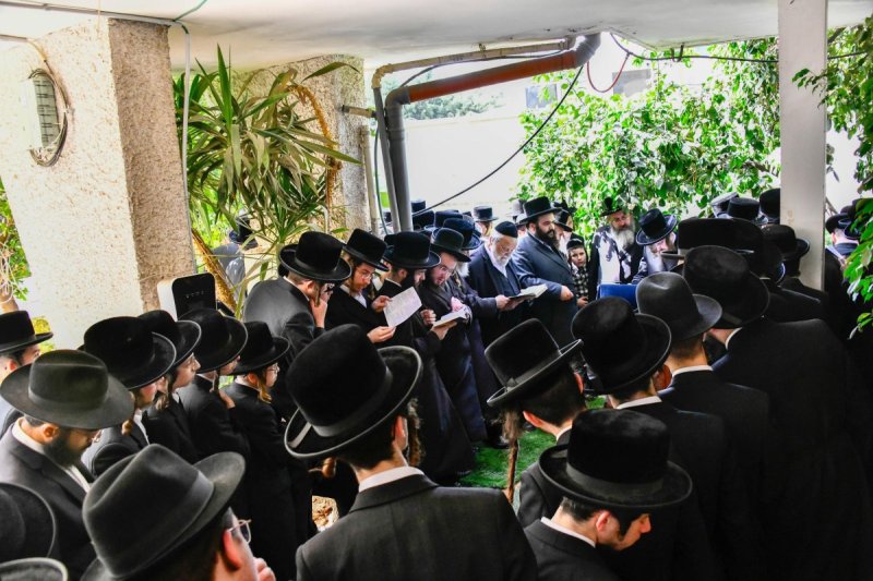 שוקי לרר