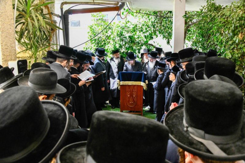 שוקי לרר