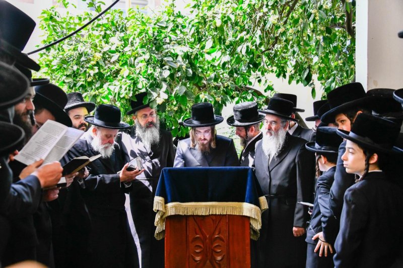 שוקי לרר