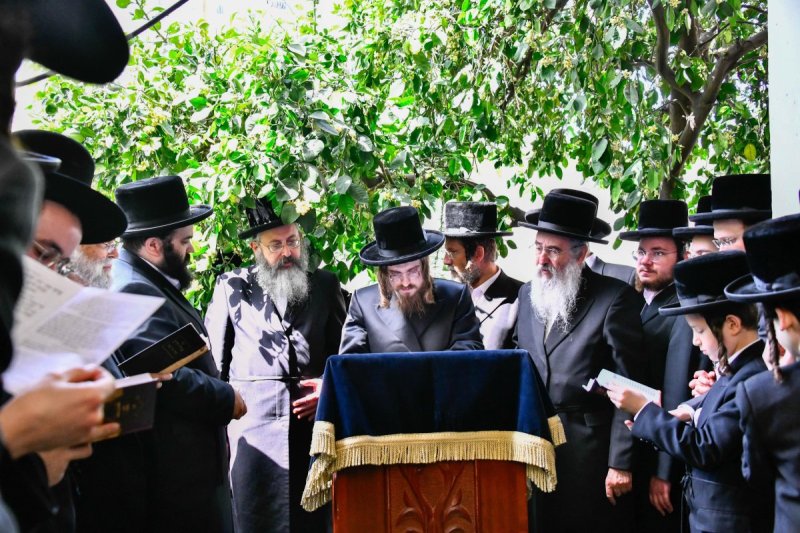 שוקי לרר