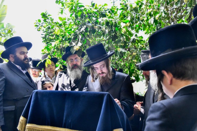 שוקי לרר