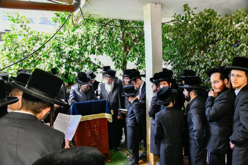 שוקי לרר